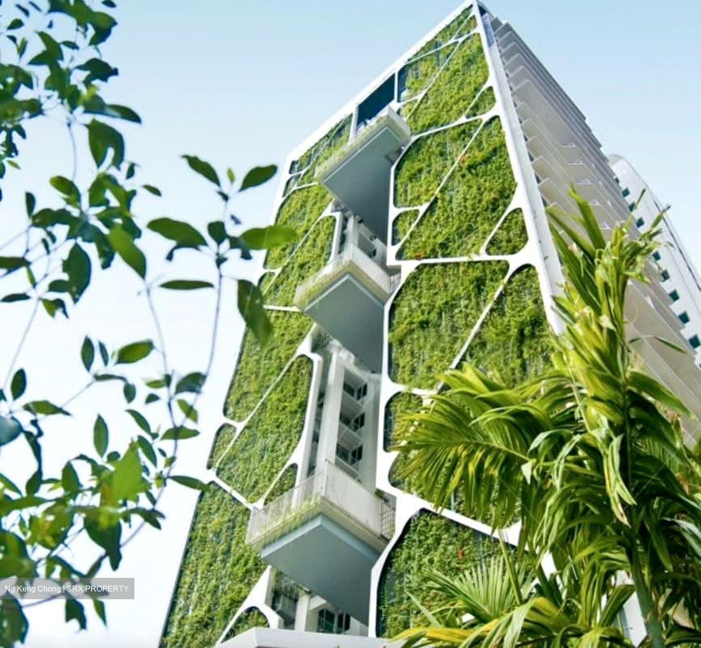 Tree House (D23), Condominium #562083591